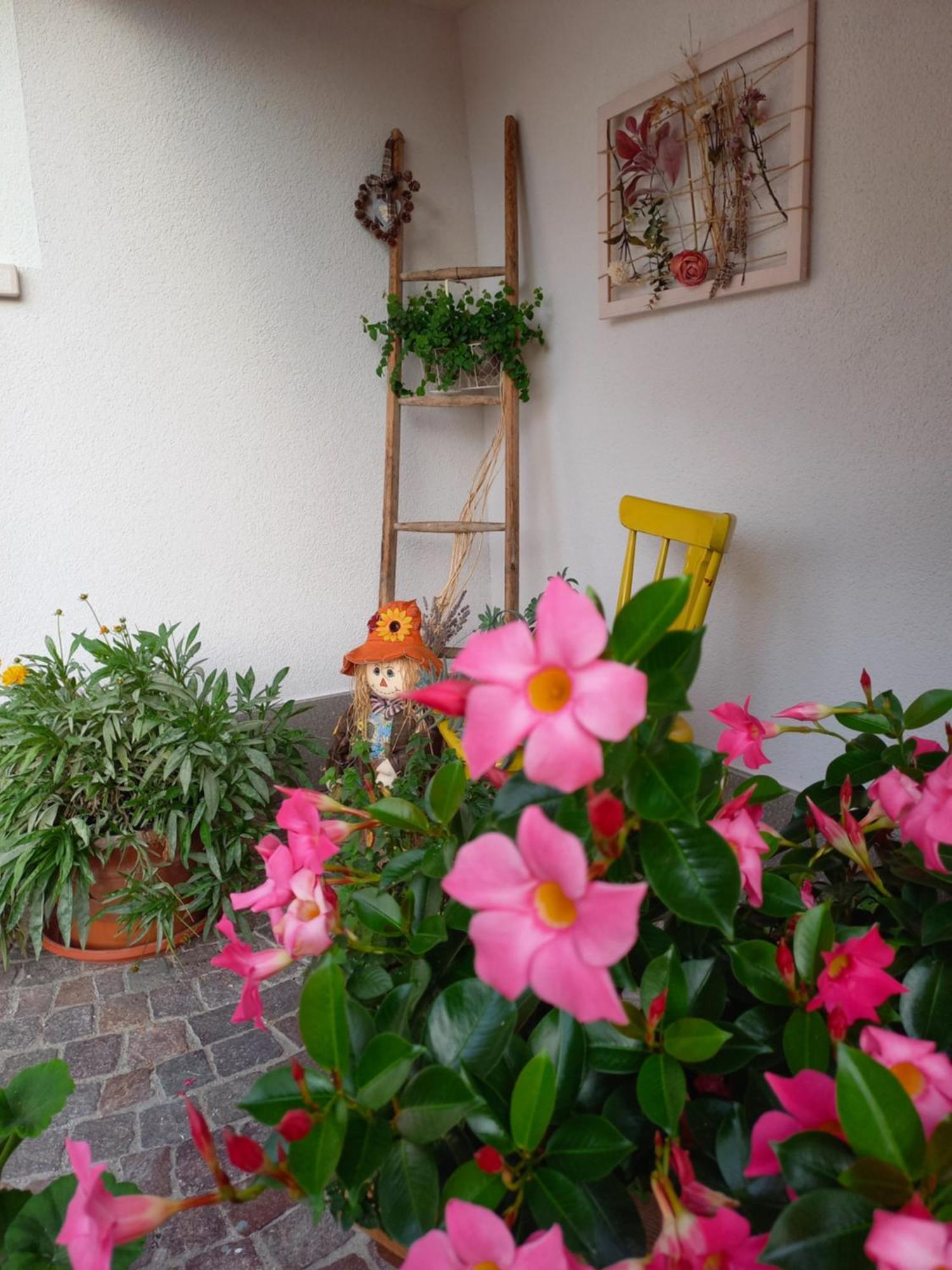 רומאנו Casa Vacanze Paola מראה חיצוני תמונה